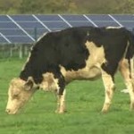 Solar Farms - Germinating Power and Growing Communities