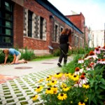 ICYMI: Green Space, The Wild and Simple, Empowering Community Revitalization